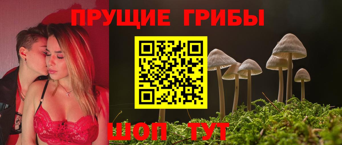 Галлюциногенные грибы Magic Shrooms Тобольск